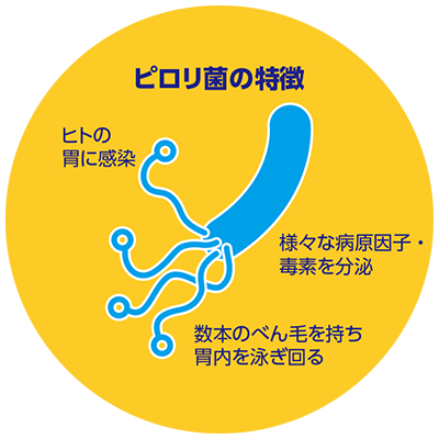 ピロリ菌の特徴